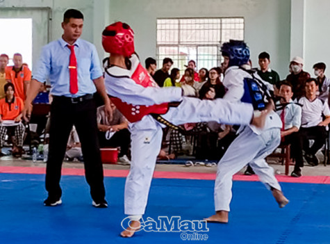 Sôi nổi Giải trẻ Taekwondo các câu lạc bộ