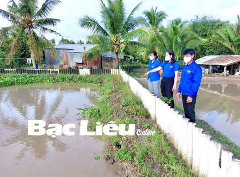 Hỗ trợ thanh niên phát triển kinh tế