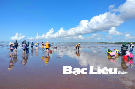 Bạc Liêu đón hơn 66.000 lượt khách trong dịp lễ Quốc khánh