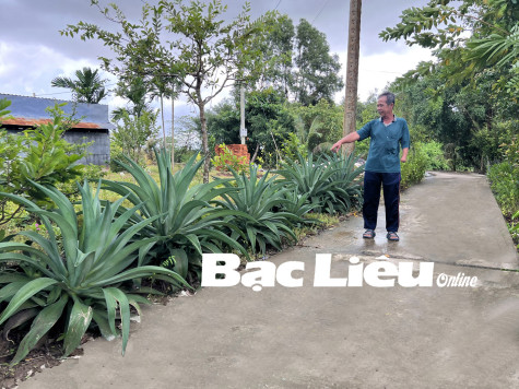 Hộ ông Lê Văn Sơn: Gia đình văn hóa​ tốt trong đẹp ngoài