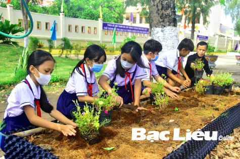 Cùng kiến tạo những góc sống xanh