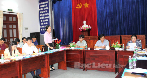HĐND tỉnh: Giám sát việc thực hiện chính sách hỗ trợ người lao động và người sử dụng lao động tại TX. Giá Rai