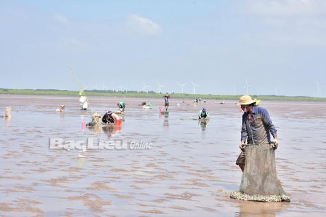 Xây dựng tổ chức đảng trong các hợp tác xã: Nhu cầu bức thiết