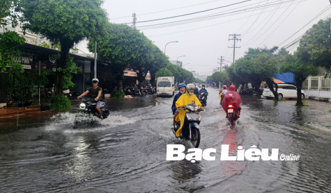 Chủ động ứng phó với triều cường dâng: Hạn chế ảnh hưởng, thiệt hại sản xuất cho người dân