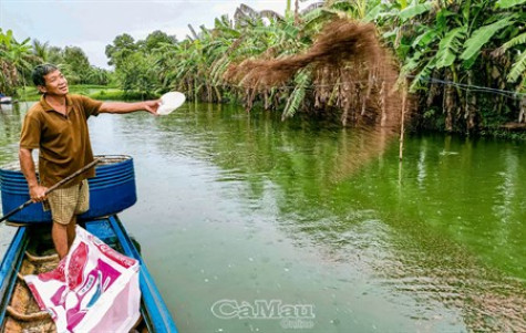 Kỳ vọng vụ cá bội thu