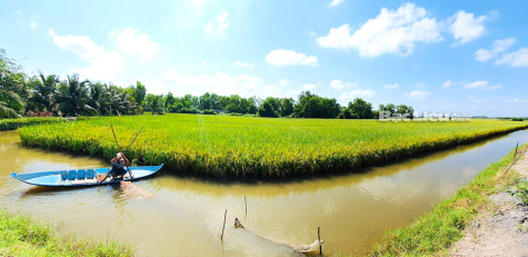 Xây dựng và phát triển HTX: Nhiều lợi ích thiết thực