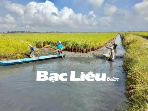 Hội thảo Chống chịu khí hậu tổng hợp và phát triển bền vững vùng ĐBSCL