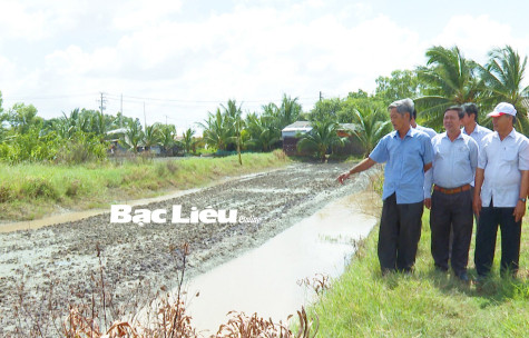 Huyện Phước Long: Thu hút doanh nghiệp bao tiêu vụ lúa trên đất tôm