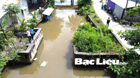Phước Long sẽ sớm đưa vào vận hành công trình kết cấu hạ tầng phục vụ sản xuất tôm - lúa