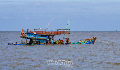 Nỗ lực tìm kiếm thuyền viên mất tích