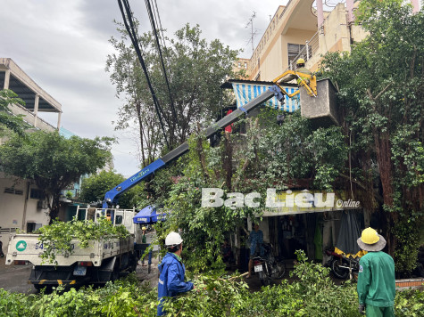 Cắt tỉa cây xanh đảm bảo an toàn trong mùa mưa bão