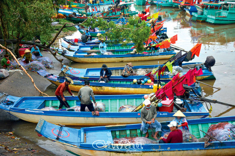 Bảo vệ đối tượng dễ bị tổn thương