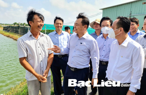 Đẩy mạnh liên kết sản xuất, hình thành chuỗi giá trị sản phẩm thủy sản