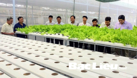 Khoa học - công nghệ phục vụ phát triển nông nghiệp