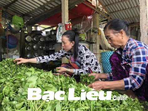 Quỹ Hỗ trợ nông dân: Thúc đẩy phong trào Nông dân sản xuất giỏi