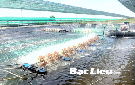 Quy định bảo vệ môi trường trong hoạt động nuôi trồng thủy sản