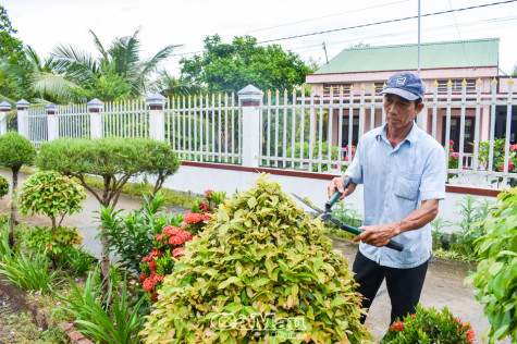 “Công viên xanh” trên đất mặn