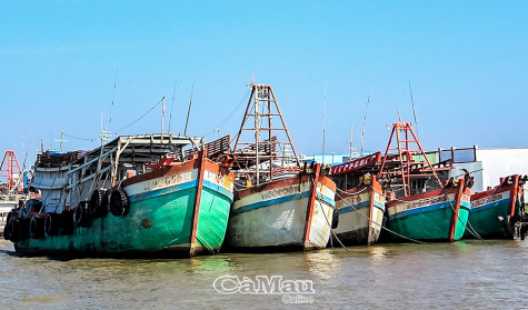 Nhọc nhằn nghề biển