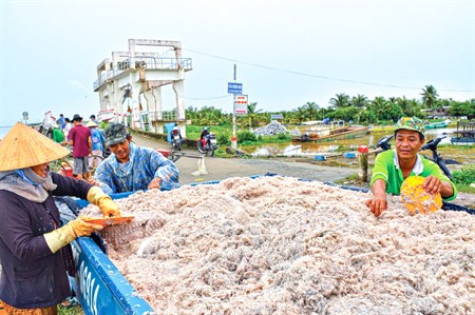 Gắn sao cho đặc sản quê hương