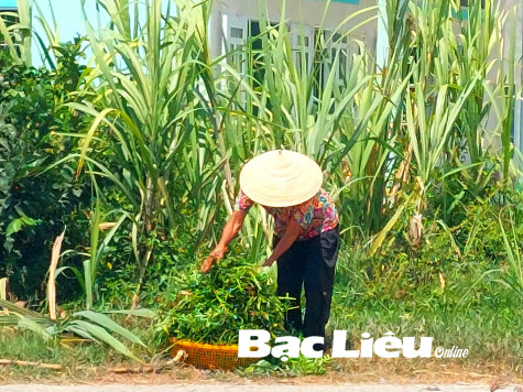 Lam lũ
