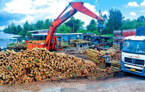 Khoa học công nghệ - Nền tảng xây dựng nông thôn mới