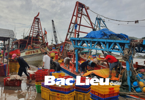 Thiếu hụt​ nguồn lao động nghề biển