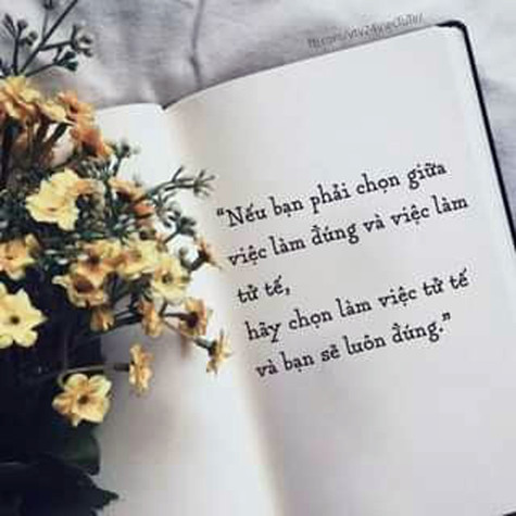 Cho đi điều tử tế