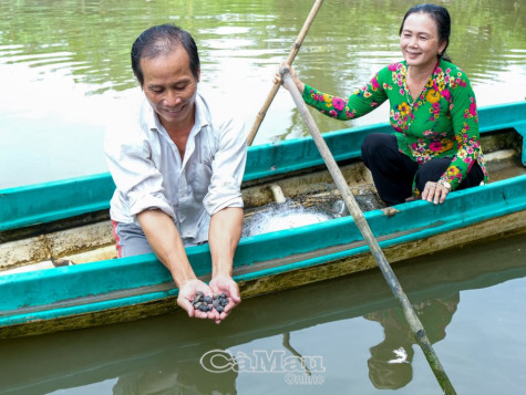 Vững lòng khi về quê lập nghiệp