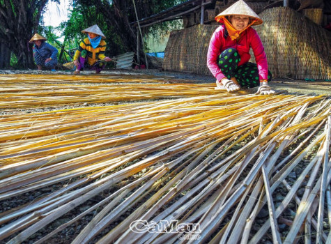 Hồi sinh làng nghề đan mê bồ