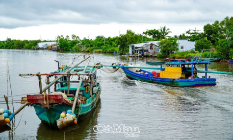 Trăn trở sinh kế tái định cư