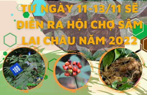 Hội chợ sâm lần đầu tiên được tổ chức tại Lai Châu