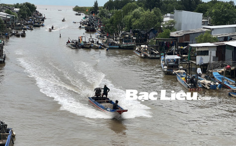 Nguy hiểm tiềm ẩn từ những chiếc vỏ lãi hành nghề biển