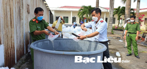 Khó kiểm tra, giám sát tôm giống nhập tỉnh