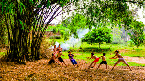 Thương lũy tre làng