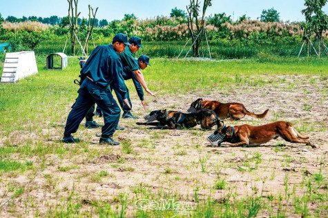 Ðội quân “đặc biệt”