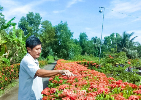 Cho vùng quê sáng, đẹp