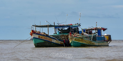 Hỗ trợ ngư dân sử dụng dịch vụ viễn thông di động hàng hải