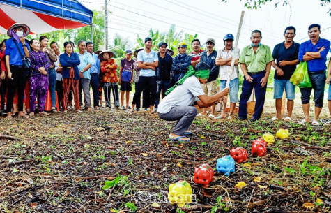 Rộn ràng Ngày hội Đại đoàn kết