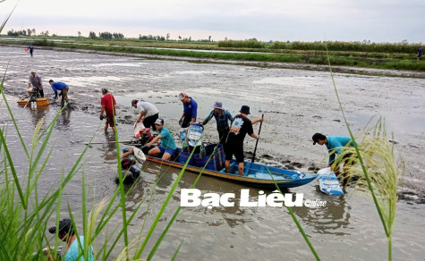 Nâng cao giá trị tôm sạch Bạc Liêu