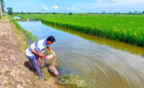 Gỡ khó nhân lực cho HTX