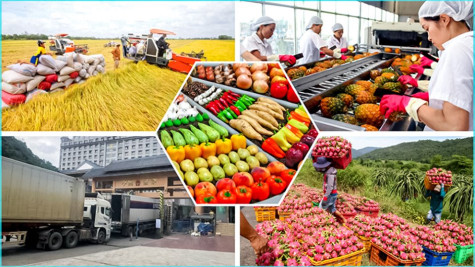 Thúc đẩy doanh nghiệp tham gia trực tiếp các mạng phân phối nước ngoài