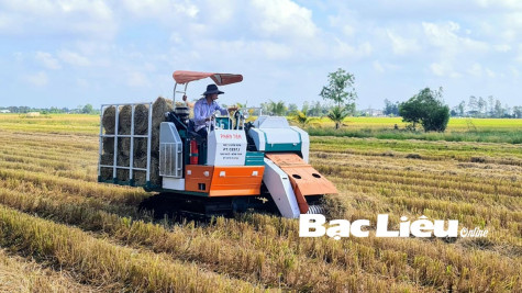 Lan tỏa những mô hình khuyến nông hiệu quả