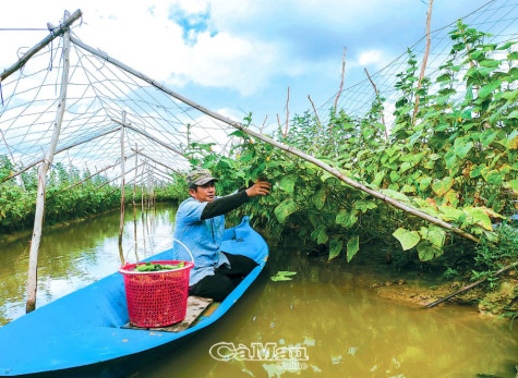 Ða dạng hoá sinh kế