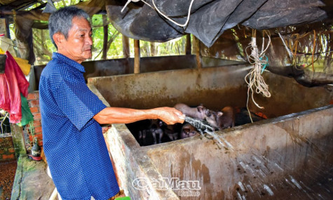 Năng động xây nông thôn mới