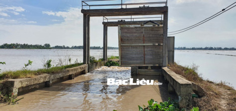 Phước Long: Tập trung đầu tư nâng cấp, hoàn thiện cơ sở hạ tầng nông nghiệp