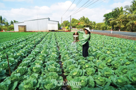 Sản vật Khánh Bình Tây