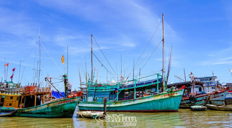 Ứng phó mưa bão cuối năm: Tuyệt đối không để bị động, bất ngờ
