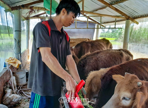 Chăn nuôi kiểu mới