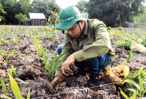 Thêm hàm lượng khoa học trong nông nghiệp