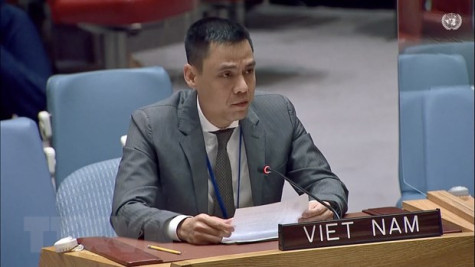 Việt Nam đề xuất ASEAN tăng cường phối hợp lập trường chung tại Liên Hiệp Quốc